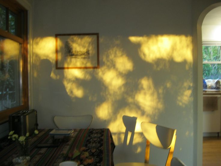 Quiet room with warm golden light across the wall